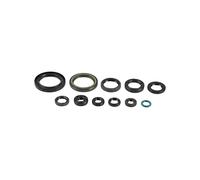 Compatible avec/Remplacement pour CRF 250 R/X - 04/17 - KIT JOINTS SPYS MOTEUR / P400210400095