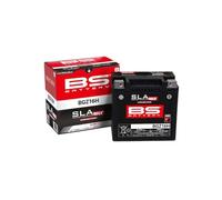 Compatible avec/Remplacement pour SPEED TRIPLE/SPRINT/TIGER BATTERIE BGZ16H SLA MAX / 300931