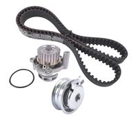 Compatible Avec Seat Pour Ibiza Pour Leon Pour Toledo AP01 Kit Courroie De Distribution Et Pompe À Eau Pièces Rechange Accessoires 06B 121 011 Pièces Auto