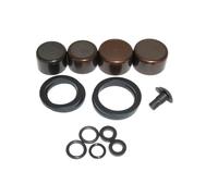 Sram Kit Piston Guide Ultimate