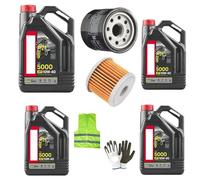 Compatible avec Suzuki GSF 1250 Bandit KIT d'entretien pour Moto 4 litres D'HUILE 10W40 5000 4T Technologie HC-Tech + Filtre À Huile VIDANGE Moteur