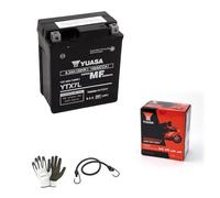 COMPATIBLE AVEC SYM Husky 125 1989 A 1989 BATTERIE YUASA YTX7L AGM 12V/6AH CCA100 (SCELLÉE-PRÉCHARGEÉE) POUR MOTO SCOOTER DÉJÀ PRÊTE À MONTER BRICOLAGE 115X72X133MM