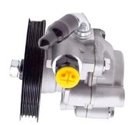 Compatible Avec Toyota Pour Camry 3.0L V6 1995-2004 2005 2006 Pompe À Huile De Direction Assistée, Pièces Automobiles 21-5931 44310-06080 4432007011 Pompe Direction