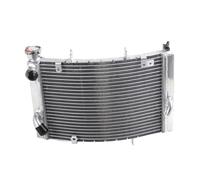 Compatible Avec Triumph Pour Street Pour Triple675 Pour 675R 2013 2014 2015 2016 2017 2018 Refroidisseur D'eau En Aluminium Ensemble Radiateur Refroidissement Du Moteur Réservoirs de trop-plein