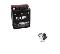 Compatible avec TRIUMPH Trophy 1200 de 1991 à 1998 Batterie déjà prête à l'emploi YTX14AHL-BS chargée scellée complète active 12 Ah AMP. 133 x 90 x 164 mm