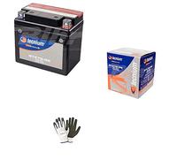 COMPATIBLE AVEC YAMAHA 125 TW Trailway 2000 BATTERIE TECNIUM PRÊTE À L'UTILISATION 7 YTZS-BS BATTERIE 6 AMPERE SPÉCIFIQUE POUR MOTO SCOOTER 113X70X105