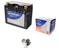 COMPATIBLE AVEC YAMAHA 600 FZS Fazer 1998 A 2003 BATTERIE PRÊTE À USAGE TECNIUM BT12B-BS BATTERIE 10 AMPERE 12 VOLT SPÉCIFIQUE POUR MOTO SCOOTER 150X69X130