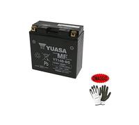 Compatible avec Yamaha FJR A - FJR AS 1300 2006-2021 Batterie YUASA YT14B-BS (ACTIVÉE SCELLÉE - SCELLÉE en Usine) Batteries 12V / 12AH pour Moto SPÉCIFICATIONS