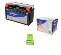 Compatible avec Yamaha YP Majesty (4UC) 250 pour année 1996 à 1998 Batterie YT7B-BS TECHUM (BT7B-BS) 6,5 ampères 12 volts prêtes à l'emploi déjà chargée moto scooter 150 x 65 x 93 mm