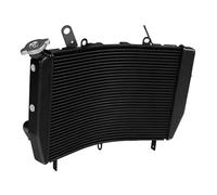 Compatible Avec YZF Pour R6 2006 2007 2008 2009 2010 2011 2012 2013 2014 2015 2016 Refroidisseur De Moteur De Moto Réservoirs De Liquide De Refroidissement Radiateur Moto Radiateurs