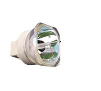 Compatible for Epson EB-2055/EB-2065/EB-2155/EB-2155W/EB-2165W/EB-2245U/EB-2250/EB-2250U Lampe de projecteur V13H010L95(V13H010L95)
