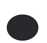 Compatible For Lamborghini Huracan EVO LP580 580 610 N Style Carbon Fiber Spoiler Rear Tail Fins Duckbill Car Wing Retrofit The Rear Wing(FRP Matte Black)