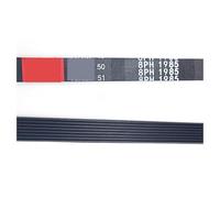 Compatible For LG,TD-C70030E, TD-C70040E, TD-C70045E 1985 H8 Ceinture 8PH1985 Remplacement De Courroie De Sèche-linge Machine À Laver(8PH1985-2pcs)