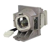 Compatible for ViewSonic PA503W/PG603W/VS16907/PS501W/PS600W Lampe de projecteur RLC-109(Bulb with housing)