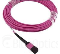 Compatible HPE R1N86A BlueOptics Câble de brassage fibre optique, MPO/UPC, 4xDuplex LC/UPC, 3 mètres, multimode G50/125µm, OM4, fibre de marque, 3.0mm LSZH magenta, 8 âmes et connecteur MPO sans broch