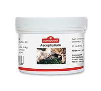 Compavet Ascophyllum nodosum en Poudre - pour Chiens et Chats - Hygiène bucco-Dentaire - Réduit la Plaque Dentaire et Le Tartre, Evite la Mauvaise haleine - Pot 100 g - Développé en France