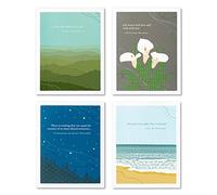 Compendium Positively Green Lot de 4 cartes de condoléances - Motifs assortis, 13,7 x 10,8 cm