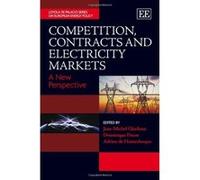 Competition, Contracts and Electricity Markets (The Loyola De Palacio Series on European Energy Policy) - [Livre en VO] Jean - Michel Glachant, Dominique Finon, Adrien De Hauteclocque (Auteur)