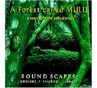 Compilation - A Forest Called Mulu