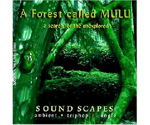 Compilation - A Forest Called Mulu
