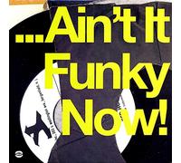 Ain't it funky now CD