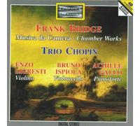 Compilation - Bridge [Import]