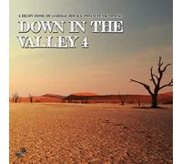 Compilation - Down in The Valley 4 [Import]