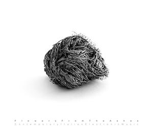 Compilation - Flowers from The Ashes [Import]