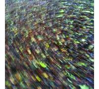 Compilation - Movement (Box CD+Book) [Import]