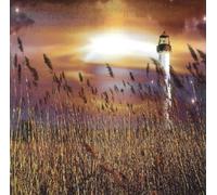 Compilation - Musiques de nuit Vol.2