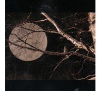 Compilation - Musiques de nuit, Volume 3