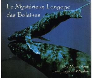Compilation - mysterieux langage des Baleines