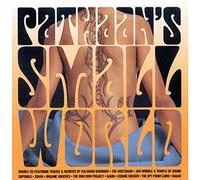 Compilation - Pathaan's Small World