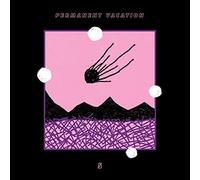 Compilation - Permanent Vacation 5