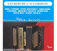 Compilation - Plein Succes Accorde [Import]