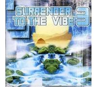 Compilation - Surrender to The Vibe 3 [Import]