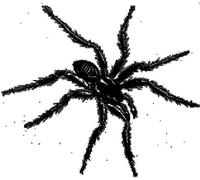 Various Artists - Tarantismo: Odyssey of an Italian Ritual/Various