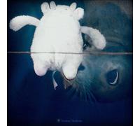 Compilation - Tendres Tenebres