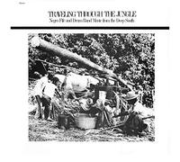 Compilation - Travelling Through the Jungle