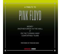 Compilation - Tribute to Pink Floyd [Import]