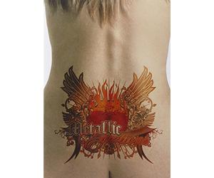 Compilation - Various Artists - Metallic Emotions (DVD+CD)