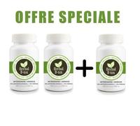 Complément Alimentaire Herbal D-Tox Artémisinine Armoise (Artemisia Annua L) 95% + Ferrine 5%, 300 Gélules X 500 Mg - 2 + 1 Offert