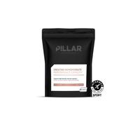 Pillar Performance Triple Magnesium Professional Recovery 90comp