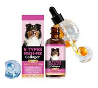 Complément alimentaire pour chien - 60 ml - Gouttes liquides pour chiots - Pour la santé intestinale, la brillance des cheveux, le soutien articulaire, les soins digestifs et