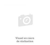 Complément alimentaire - Virbac - Pronefra - 180 ml - Soutien fonction rénale - Chat