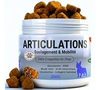 Complément Articulations Chien Moule Verte Curcuma Glucosamine Chondroïtine Collagène MSM Acide Hyaluronique | Soft Chews Haute Appétence Mobilité Formule Vétérinaire 200 Bouchées (Saveur de Saumon)