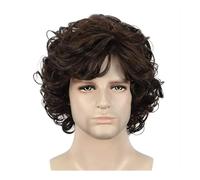 Complément Capillaire Homme Pour Calvitie Perruque courte bou for homme de 30 cm, perruque synthétique résistante à la chaleur for cosplay Perruquest Hommes(Brown)