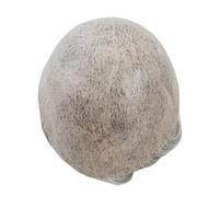 Complément Capillaire Homme Pour Calvitie Postiche for homme, 0,12-0,14 mm, prothèse capillaire complète, système capillaire n° 1B80 Perruquest Hommes(7x9)