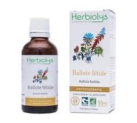 Complements Alimentaires - Vitalite Phytothérapie Extrait De Ballote Fétide Bio Herbiolys - 50 Ml