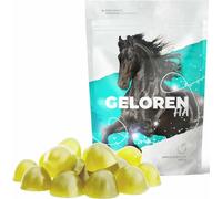 Geloren Additifs de cheval pour articulations HA - Acide hyaluronique - Cubes de gelée naturelle pour chevaux - Pour l'alimentation des ligaments et des articulations - Pomme 450 g
